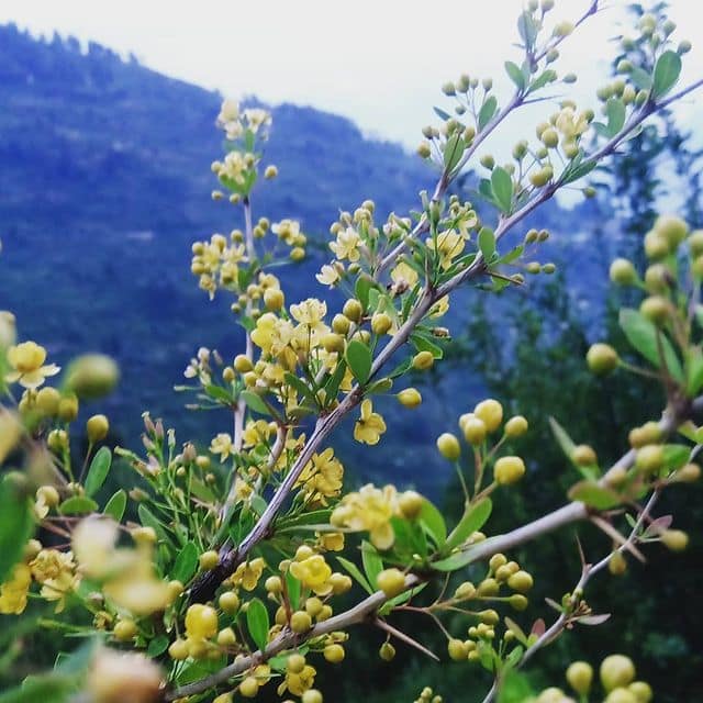 Throwback to inception.