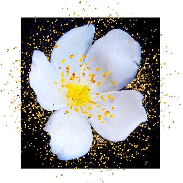 Ironically or iconically