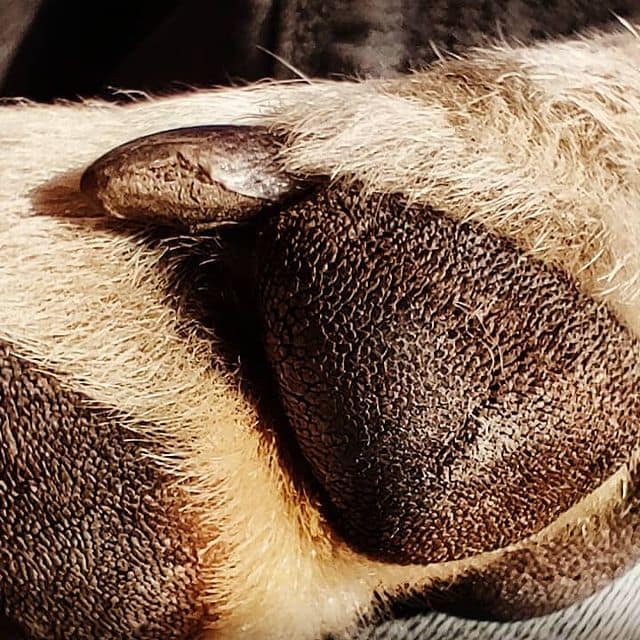 The touch of your hand