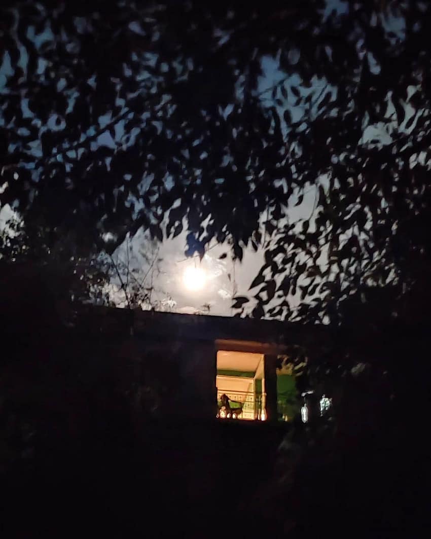 Oh bathe me in the moonlight.